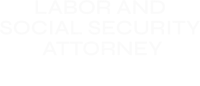 Labor and Social Security Attorney